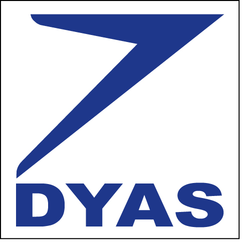 (image for) DYAS bumper sticker - Click Image to Close